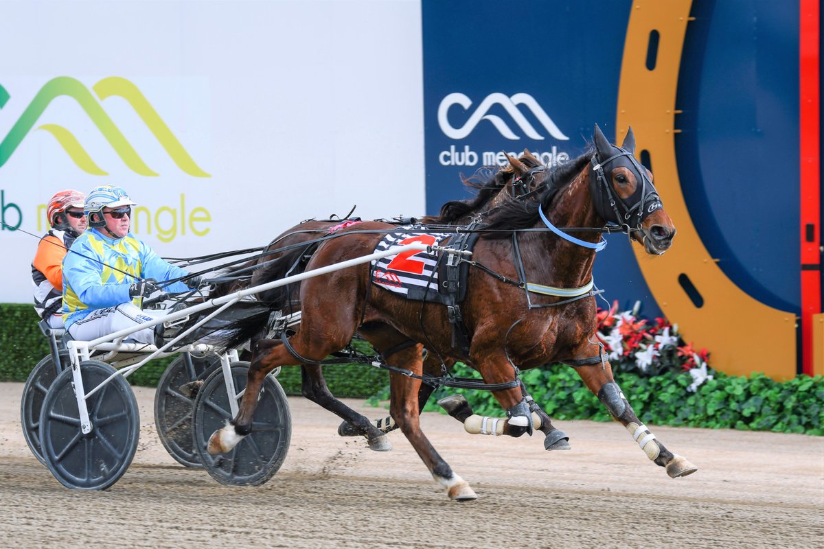 ClubMenangle's tweet photo. 𝐌𝐚𝐭𝐞𝐬 𝟒 𝐇𝐚𝐫𝐧𝐞𝐬𝐬 𝐌𝐚𝐢𝐝𝐞𝐧 𝐏𝐚𝐜𝐞 - https://t.co/ClL5599x9f
🐴 BOOTS ELECTRIC
𝐓𝐑𝐀𝐈𝐍𝐄𝐑: Anthony Butt
𝐃𝐑𝐈𝐕𝐄𝐑: Anthony Butt
📹 https://t.co/6r58kQQ8uG https://t.co/yYGpcuHsHe