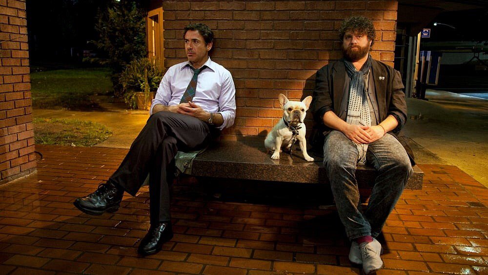 243. Due Date (2010)