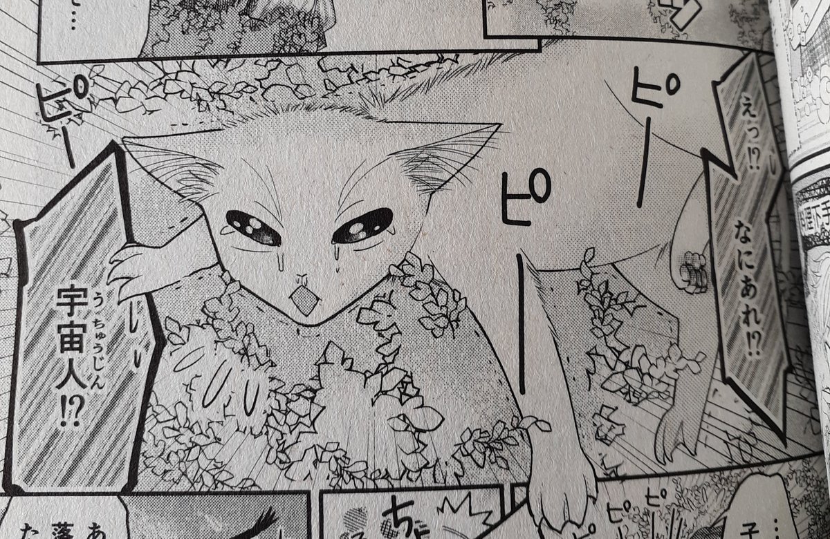 本日発売のねこぱんち猫の庭号に漫画掲載していただいてます。

読んで頂けたら幸いです! 