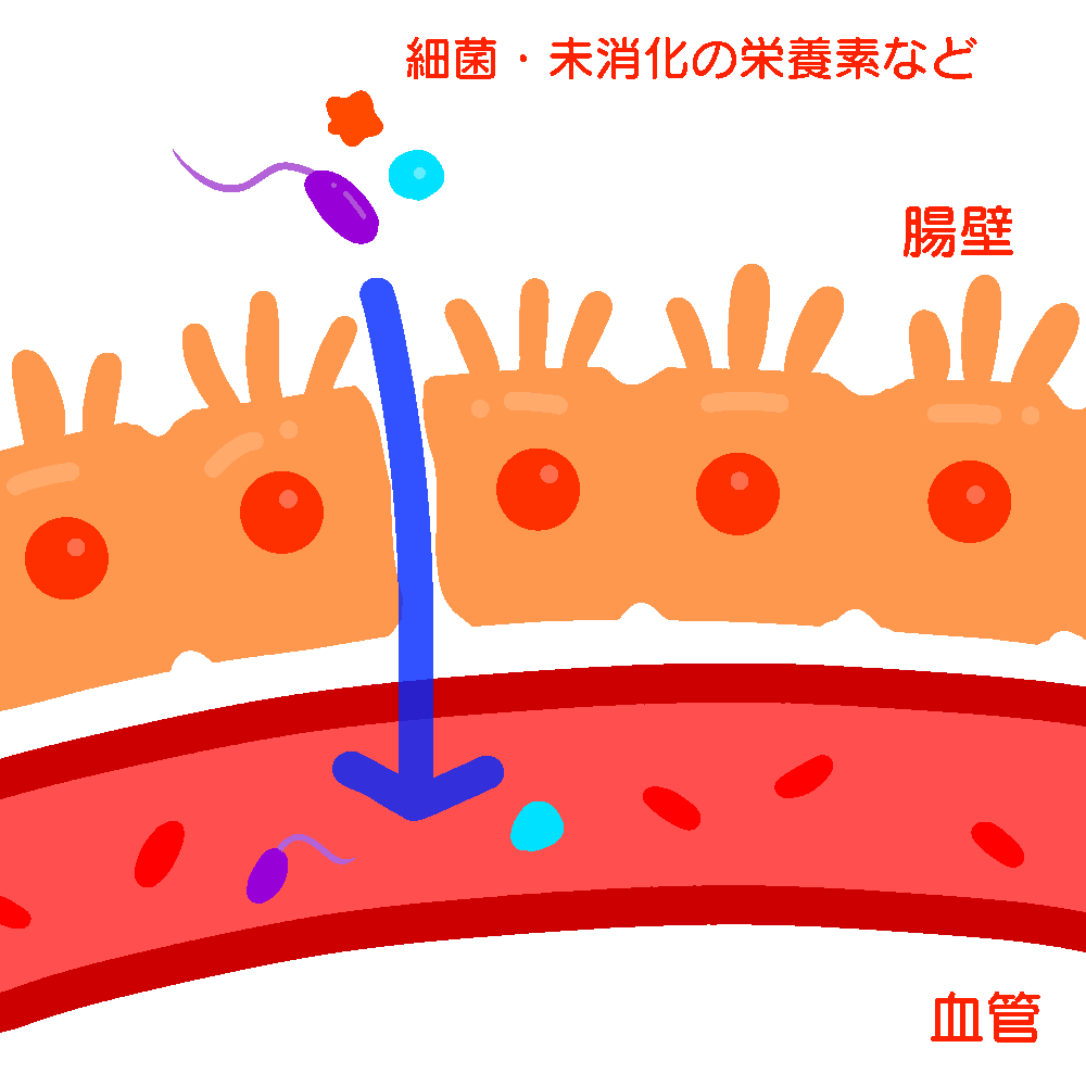 BCkies's tweet image. ★実体験！1週間でぼっき不全を治した方法
①食事や間食で小麦を抜く
慢性疾患の多く起こっている腸の症状：リーキーガット症候群！簡単に言うと腸壁に穴があき、体に入らない異物が入いることにより免疫細胞が異常に活動し様々な疾患を起こします。
この状態では正常にセラトニンが分泌されません…