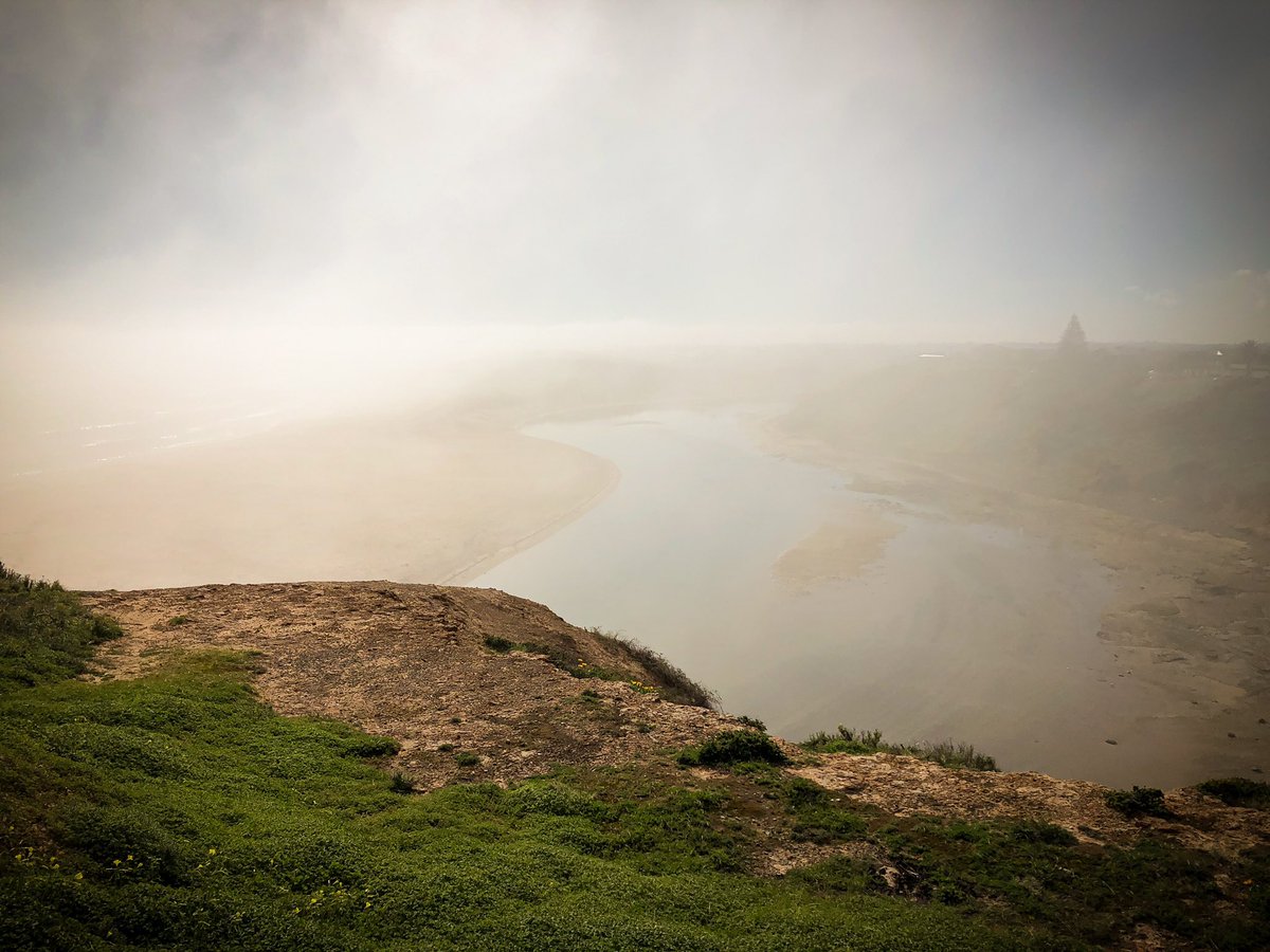 Coastal fog patches currently moving along the southern beaches, lots of people out and about to get a spectacular picture ☁️📷
