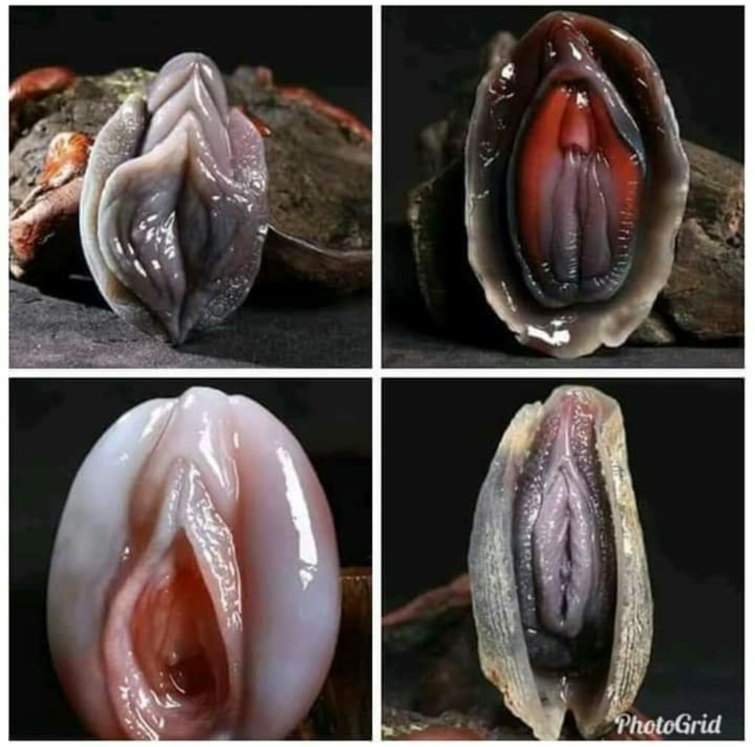 Sourcherie's tweet photo. Masak apa ya 🤔 https://t.co/bNLgyuCzSP