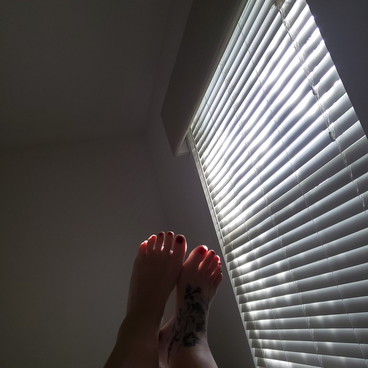 Ihave_thetime's tweet photo. #Feetfettish #feetpicturesforsale #soles #feetlover #feetbuyers #feetpic #feet #toes #solesfetish #feetworship #feet #feetworship #soles #feetpicsforsale #feetfetish #feetpics #feetlovers #socks #dirtyfeet #sweatyfeet #hotfeet #toes #feetbuyers #footfettish  #feetlicking https://t.co/4CcdjUgcfk