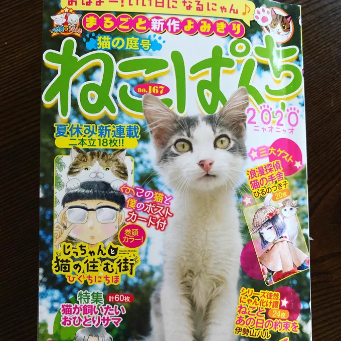 本日発売の ねこぱんち猫の庭号から新連載はじまります!よろしくお願いいたします!ひぐち家の猫たちもチラホラ登場! 