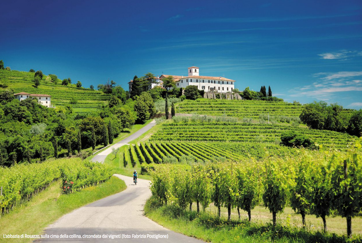 VisitFVG's tweet photo. Friuli Venezia Giulia: vacanze in bicicletta, tra vigneti e laguna.
Un itinerario in #bicicletta, da #Grado alla foce dell’#Isonzo, passando tra vigneti, abbazie, città romane, riserve naturali.

Leggete questo bellissimo articolo su @DoveViaggi 

https://t.co/pCDQkjK5lq https://t.co/JF6c6UB5Md