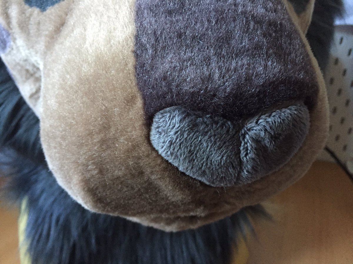 Kheisa 🐾 PocketPapillon tweet media