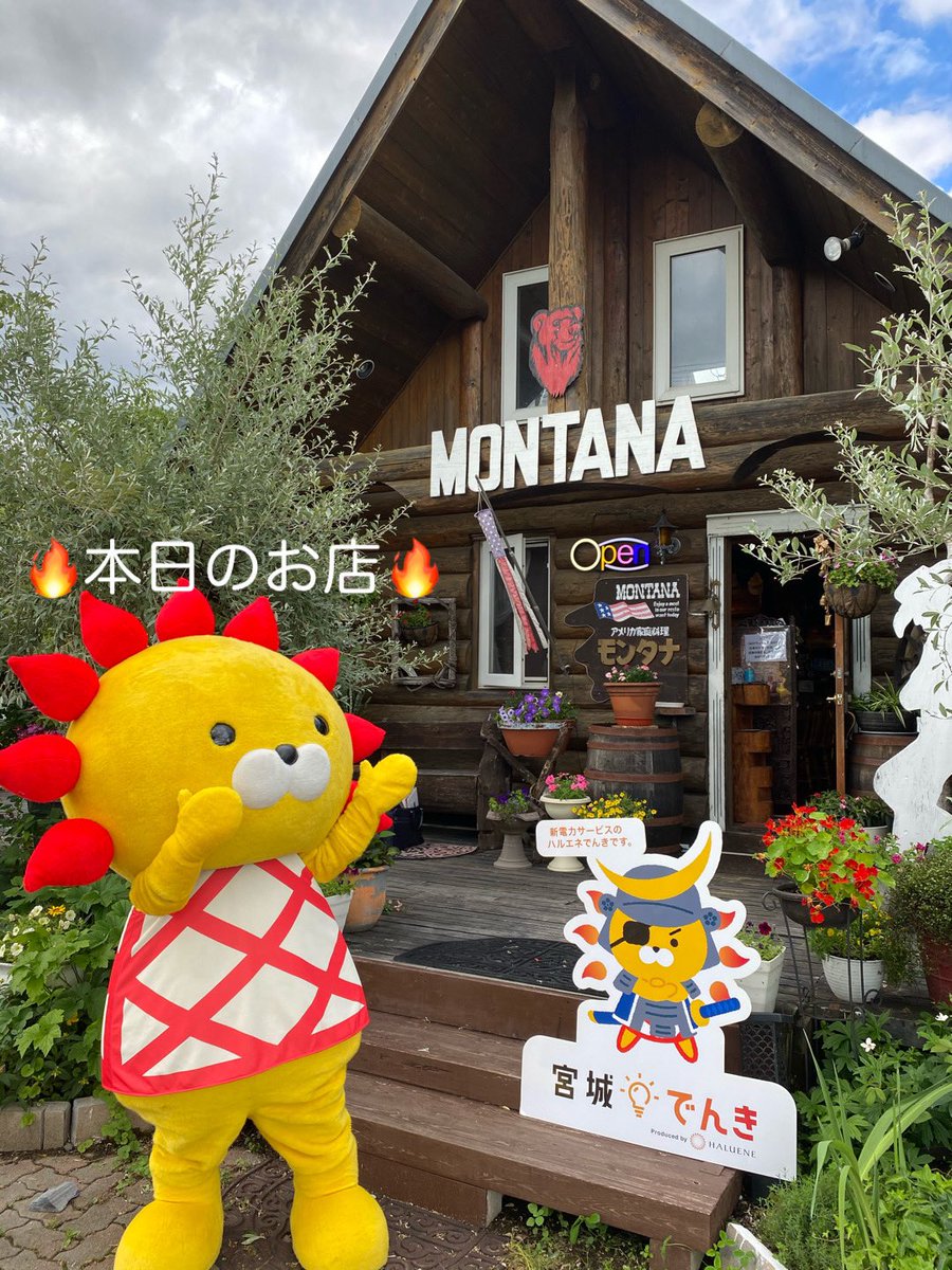 ハルオくん 本日のお店 Montana モンタナ こちらのお店は 絶品と評判のスペアリブステーキが食べられるエネ なんと ハルオくんを見た と言ってくれたお客様は お会計から100円引き お食事の方のみ 是非ご来店下さいエネ 仙台市泉区