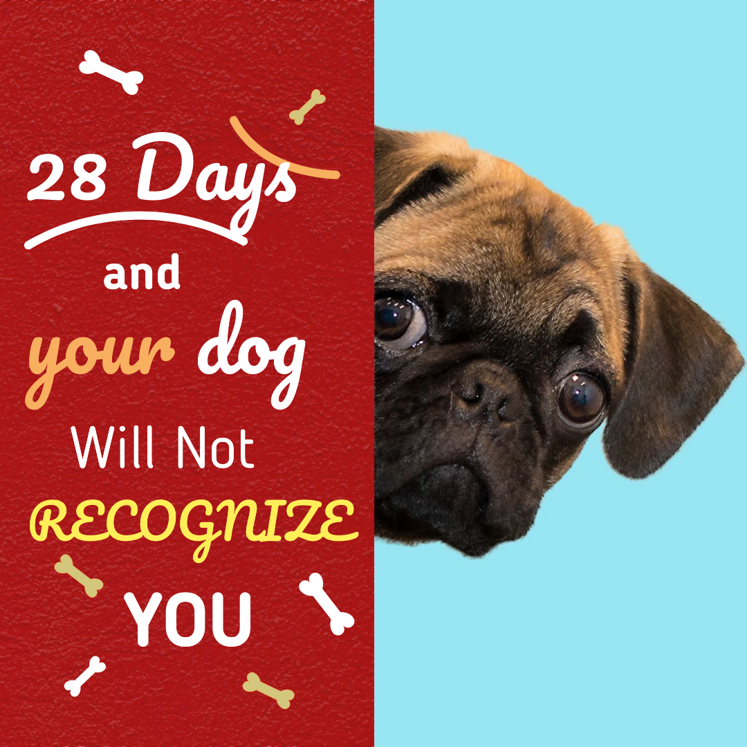 Diets4Y's tweet photo. You'll be and feel so good! 👍👍 https://t.co/IdMWjTo3Cz

#loseweightasap #loseweighttheeasyway #loseweightsafely #loseweightwithme #loseweighttoday #loseweightgetfit #loseweightwhyousleep #loseweightfeelgreat #loseweightnow #loseweighthealthy #loseweightnowaskmehow #ketodiet https://t.co/8pk1B0VDNw