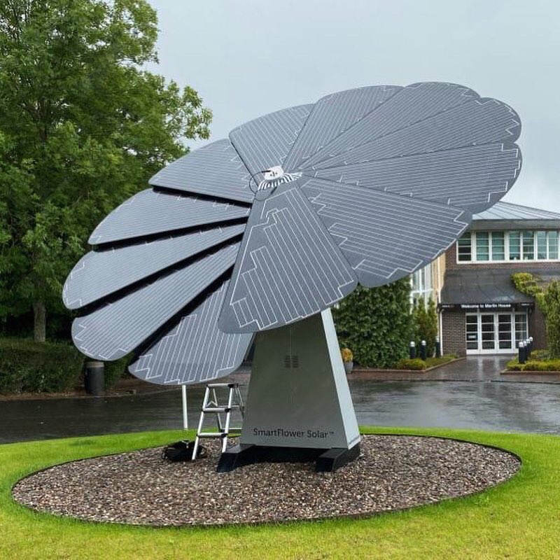 Mole Group tweet media