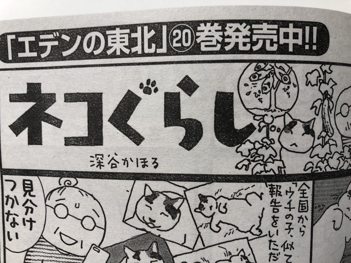 Twitter இல 深谷かほる深谷薰 夜廻り猫 7巻 発売日は昨日でした ツイッターにお寄せいただいた写真がヒントになり ギャラリー カフェ平蔵 の遠藤ご夫妻のお話を描きました ありがとうございます まんがライフオリジナル