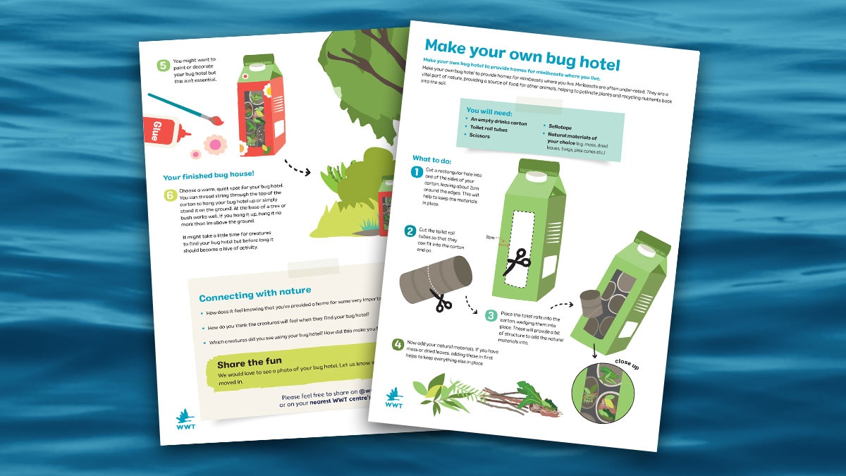 Home schoolers! Discover ‘Marvellous Minibeasts’ on the #WWTHomeLearning hub socsi.in/B2E2K 🐝 With the summer holidays in sight, this is our final week of new learning resources. We hope that they have helped to educate and entertain over the last 3 months!