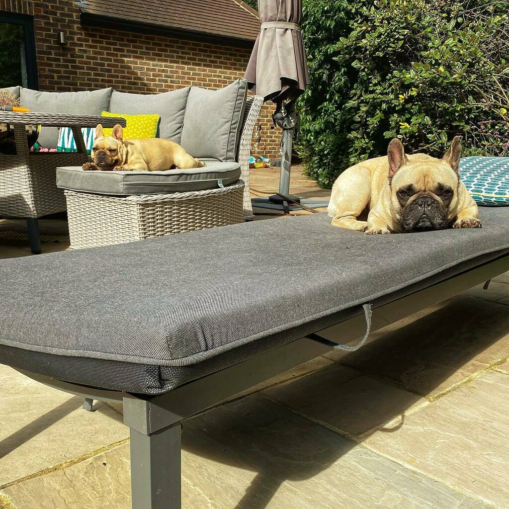 Stephen Rush tweet media