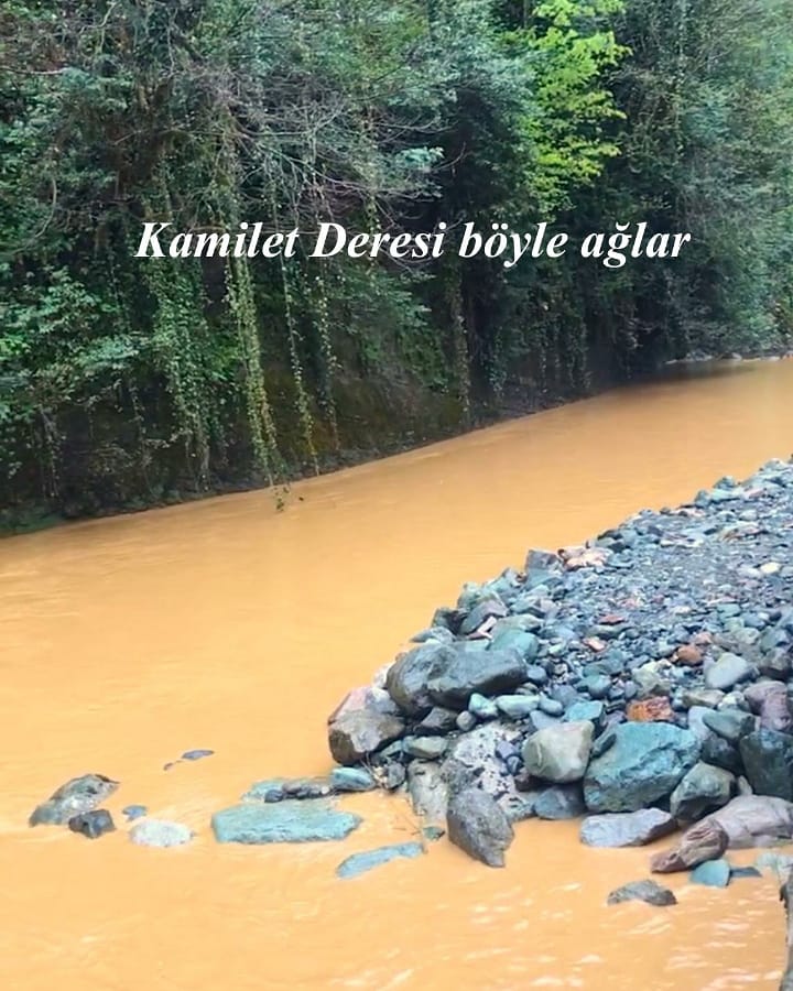 KontrolCevre's tweet photo. @haluklevent #KamiletVadisi 
Doğa ile uyumlu olmaz, doğal alan ve kaynaklarımızı bu şekilde yok etmeye devam edersek, gelecekte sürdürülebilir ve sağlıklı bir yaşam hayal olabilir. Bu yıkıma dur demeli, doğal alanlarımızı korumalıyız https://t.co/pqcAQJInGN