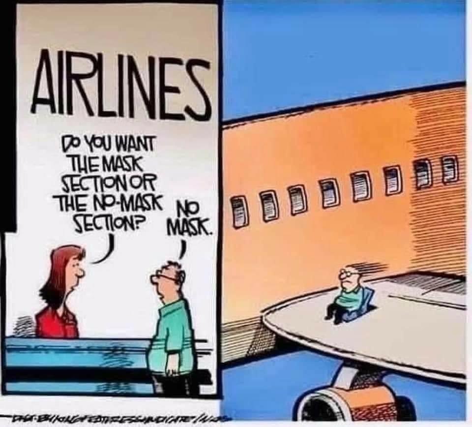 Maya Besnardeau tweet media