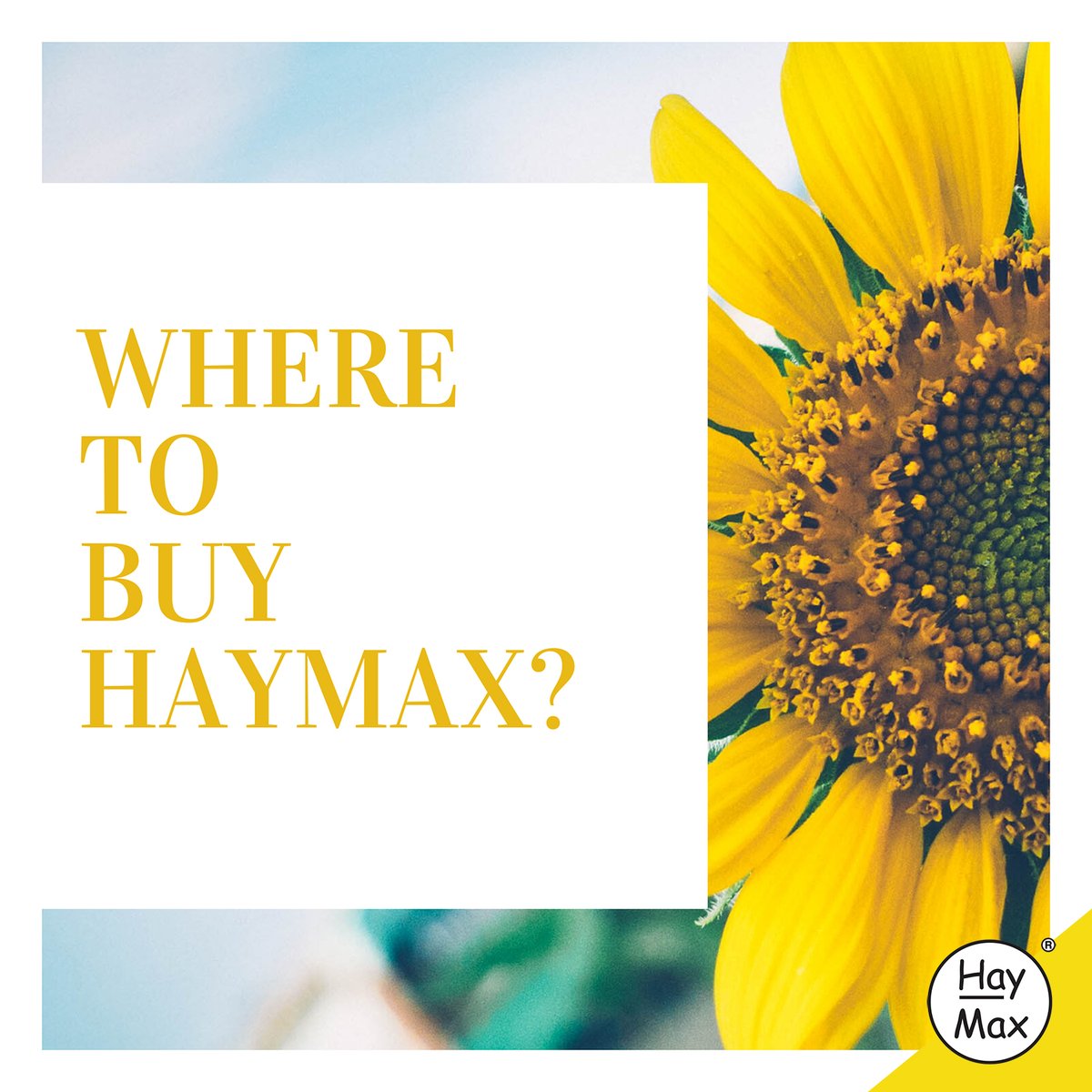 Where can you buy HayMax?

🛒your local independent health food stores and pharmacies
local wholefood stores
🛒<a href="/AsNatureInt/">As Nature Intended</a>
🛒<a href="/holland_barrett/">Holland & Barrett</a>
🛒<a href="/Morrisons/">Morrisons</a>
🛒<a href="/OcadoUK/">OcadoUK</a>
🛒<a href="/BoothsCountry/">Booths Supermarket</a>
🛒<a href="/BootsUK/">Boots</a>
🛒<a href="/planetorganicuk/">Planet Organic</a>
🛒<a href="/Nutrisun/">Nutrisun</a>
🛒<a href="/superdrug/">Superdrug</a>
🛒via ow.ly/fpGw50AuWEG