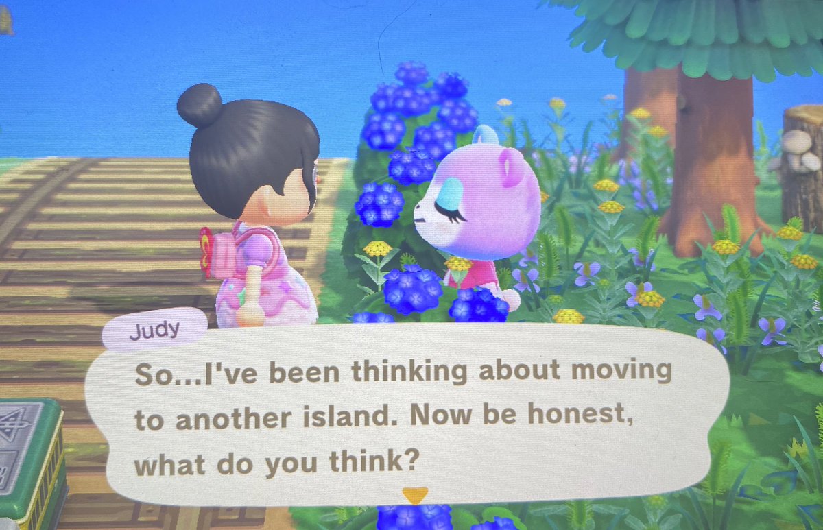 lanalovesacnh's tweet photo. #Judyinboxes #inboxes #acnh #animalcrossing
(Experiment) https://t.co/MmKxcDuA77