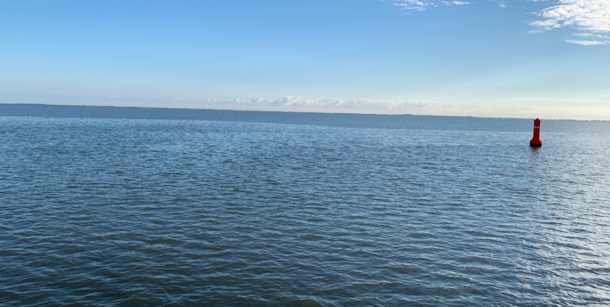 wouter935's tweet image. 