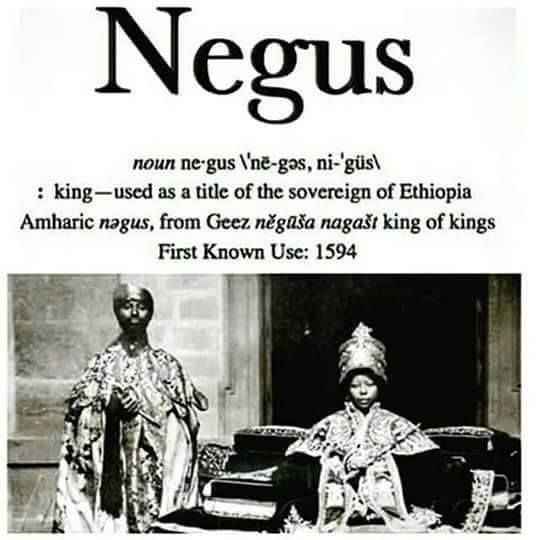 BornIndigenous's tweet photo. 🗿📚😐 Ne·gus
a ruler, or the supreme ruler, of Ethiopia https://t.co/o5Ej10byMz