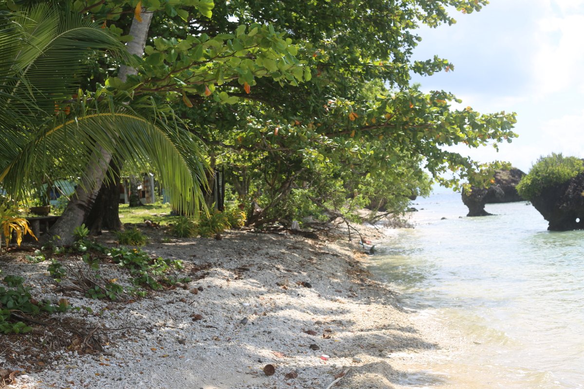 ND2amoto's tweet photo. Beachfront of Navetau village, Tunuloa. #natewabay #vanualevuclicks https://t.co/nkCrDRHAvA
