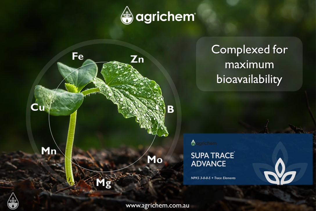 SUPA TRACE® ADVANCE
#fertilisers #fruit #crops
agrichem.com.au/products/plant…