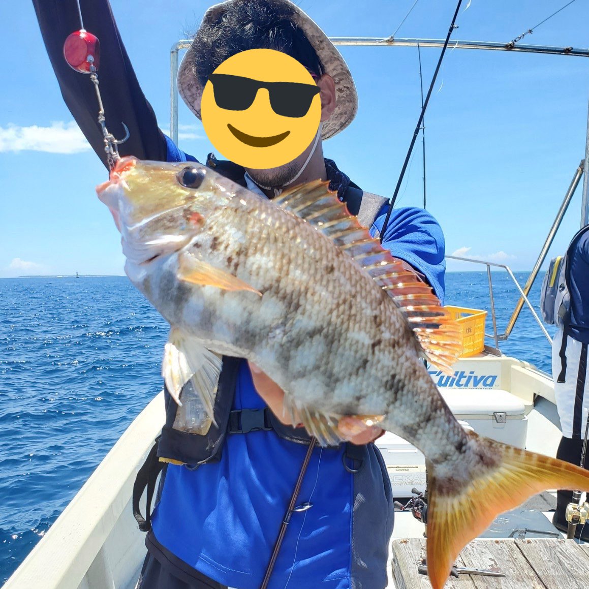 HIROTO @沖縄 tweet media