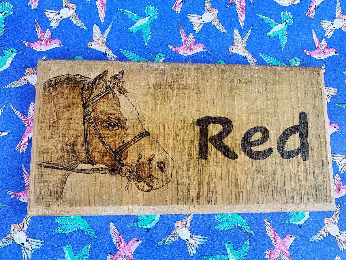 michell11708789's tweet photo. Made a lovely portrait stable plaque for my daughter yesterday with my new solid oak blanks 😀 27 blanks left! Limited stock! #solidoak #commissionsopen #stable #stablename #livery #Yardwork #yardlife #pyrography #equine #horse #pony #pet #furbabies #wood #decor #personalised https://t.co/5ffGSplFiW