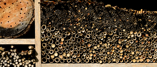 In ihnen summt, brummt und krabbelt es: #Insektenhotels bieten Tieren einen geschützten Wohnraum und eine sichere Unterkunft im Winter. So könnt ihr selbst zum Hotelbetreiber werden! 🐝🦋🐞🐜 ow.ly/zceI50AsEfC