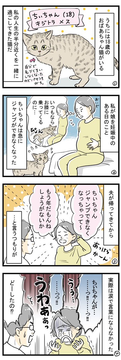 猫のちぃちゃん(18)と娘のまめこ(2歳半)が使ってる2つの踏み台の話。
まめこを妊娠中～現在の話です。
まめこの踏み台は、ちぃちゃんのおさがりになると思ってたから、2つ目の踏み台を買うとき、レジで嬉しくて泣きそうになったなぁ。
#コミックエッセイ #エッセイ漫画 #猫漫画 #絵日記 #高齢猫 