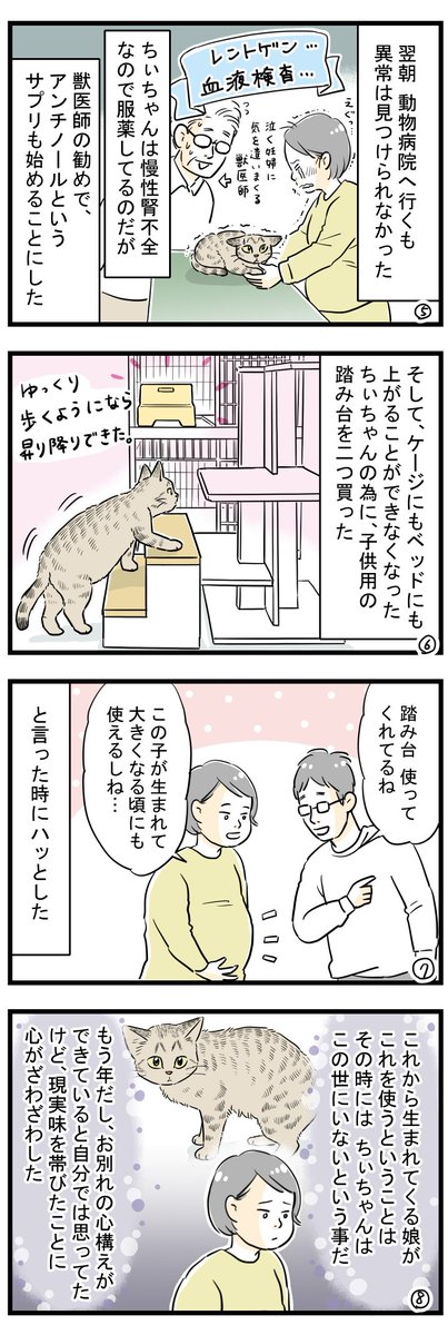 猫のちぃちゃん(18)と娘のまめこ(2歳半)が使ってる2つの踏み台の話。
まめこを妊娠中～現在の話です。
まめこの踏み台は、ちぃちゃんのおさがりになると思ってたから、2つ目の踏み台を買うとき、レジで嬉しくて泣きそうになったなぁ。
#コミックエッセイ #エッセイ漫画 #猫漫画 #絵日記 #高齢猫 