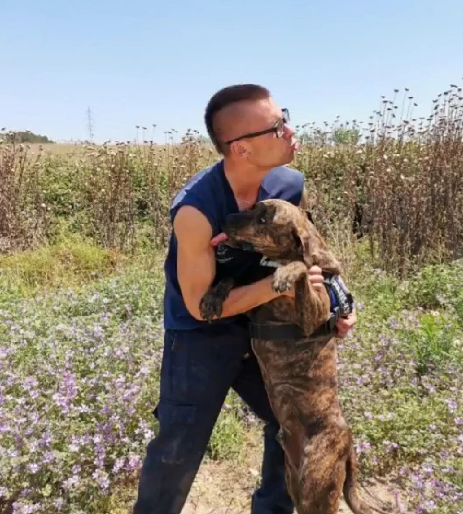 voluntacaad's tweet photo. Todo lo que tiene de grandullón, lo tiene de bueno...
Quien lo adopte, se lleva un tesoro...Y un buen amigo... 🐕🦺🚶♀️
📨caad@mancomunitat.cat #Penedès #Garraf #adopta #GPP #PPP #Vilafranca #Sitges #VNG #VilanovailaGeltru #ssmonjos #SantSadurní #invisibles #2millorque1 #adopta https://t.co/RDSvoKqy7v