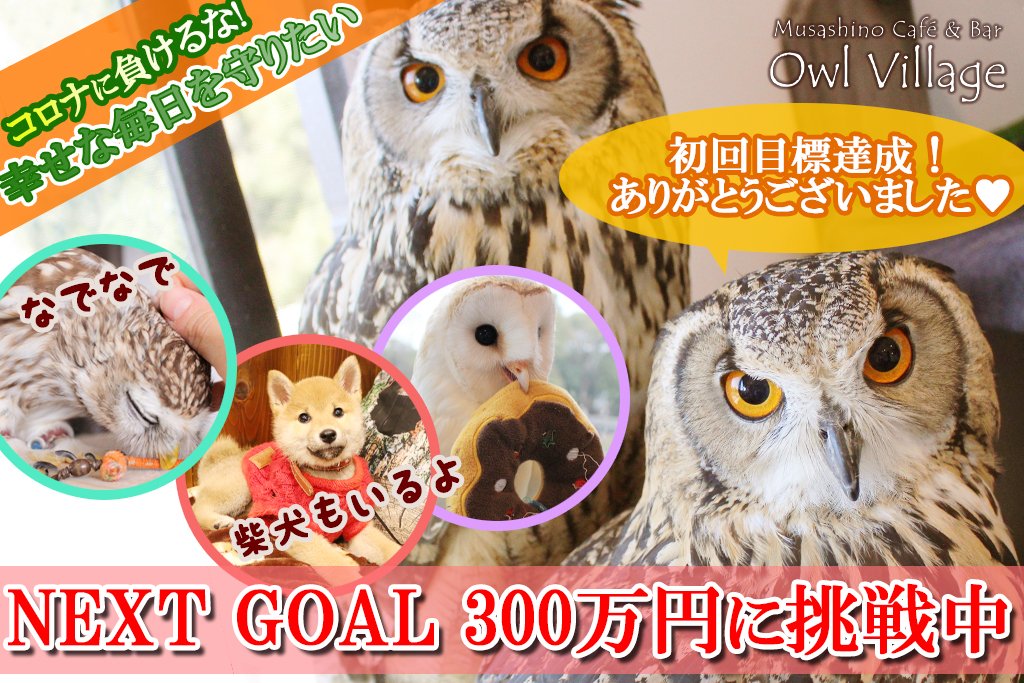 【ふくろうの里】
🦉拡散お願い致します🦉
クラウドファンディングを開始させていただきました。
camp-fire.jp/projects/29022…
皆様のご協力のおかげで
初回目標を達成する事ができました。
本当にありがとうございます✨
次の目標を300万円に設定しプロジェクトを継続させていただきます！