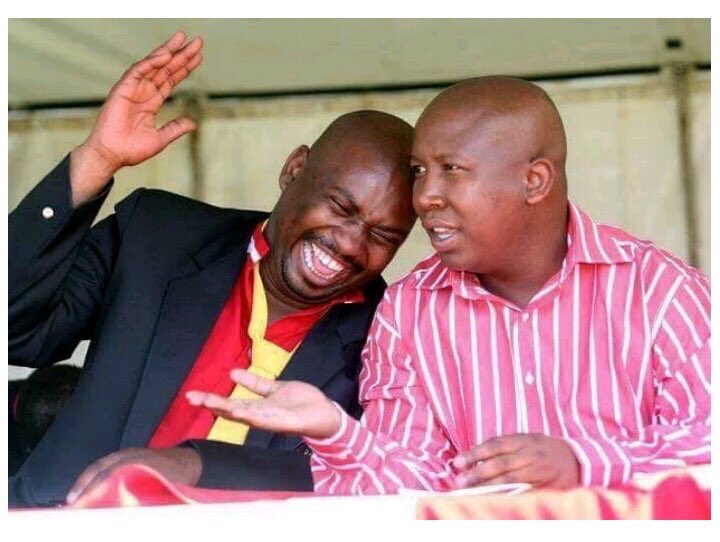 AdvoBarryRoux's tweet photo. According to ANC MP Boy Mamabolo Julius sello Malema is in charge of the country. https://t.co/XjaJQ57OPU