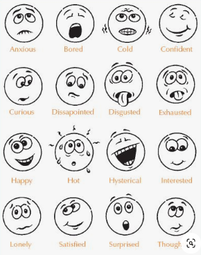 ClassofOwls's tweet photo. Art lesson of the day:  Learn to draw expressions on cartoon faces.  Draw a series of circles then copy these ideas, placing the eyes and eyebrows where the example has and copy the lines for the mouth. (Notice that most of the cartoon faces don't have noses!) https://t.co/I7rIju04Cw