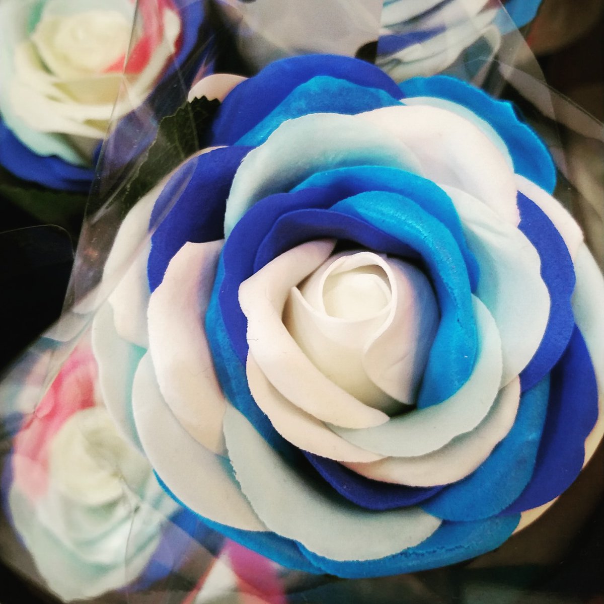 フローリスト自由花 Webスタッフ 当店オリジナル ブルーローズ 限定品 青いバラにつけられた花言葉 不可能 夢叶う 神の祝福 奇跡 などがあり 試験に挑戦しついる方 新しい事を始める方などに応援の気持ちを添えた贈り物にハナマル フローリスト