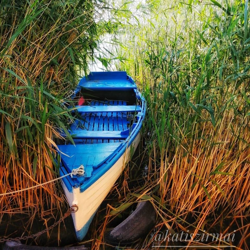 onlinebalaton's tweet photo. Egy kis balatoni hangulattal kívánunk szép napot. https://t.co/bGdZV0hpSN