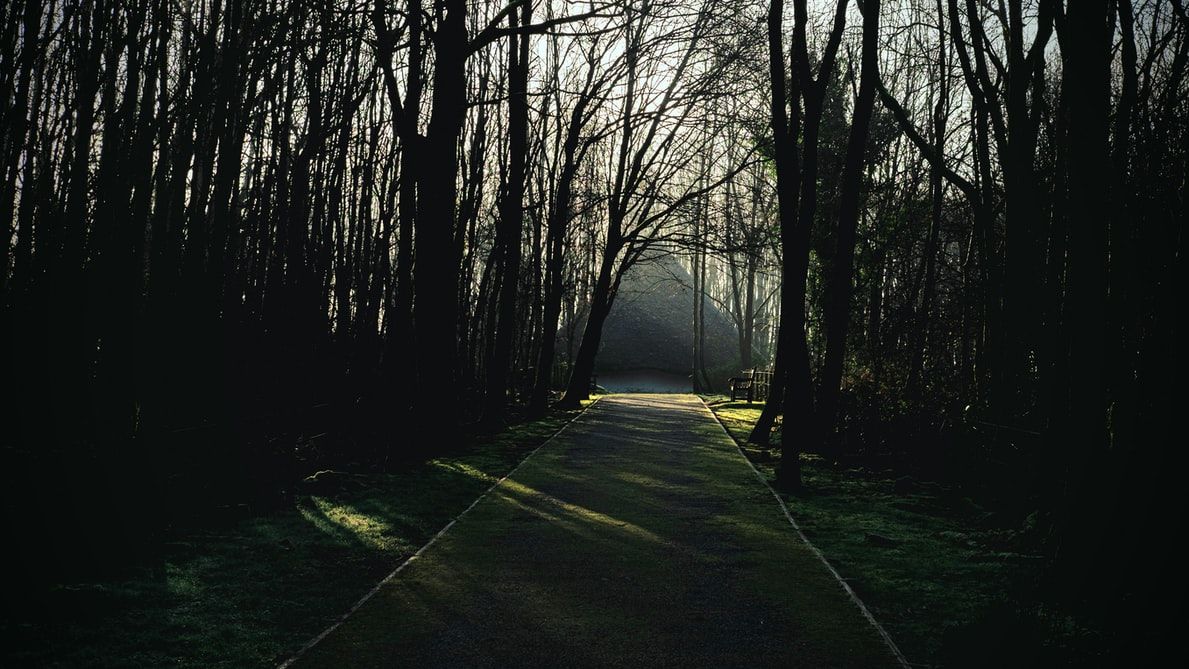 247PrayerScot's tweet photo. 'By your words I can see where I’m going; they throw a beam of light on my dark path.'
Psalm 119:105 #TheMsg

#MondayMotivation #prayer https://t.co/xubqE4uJ3X