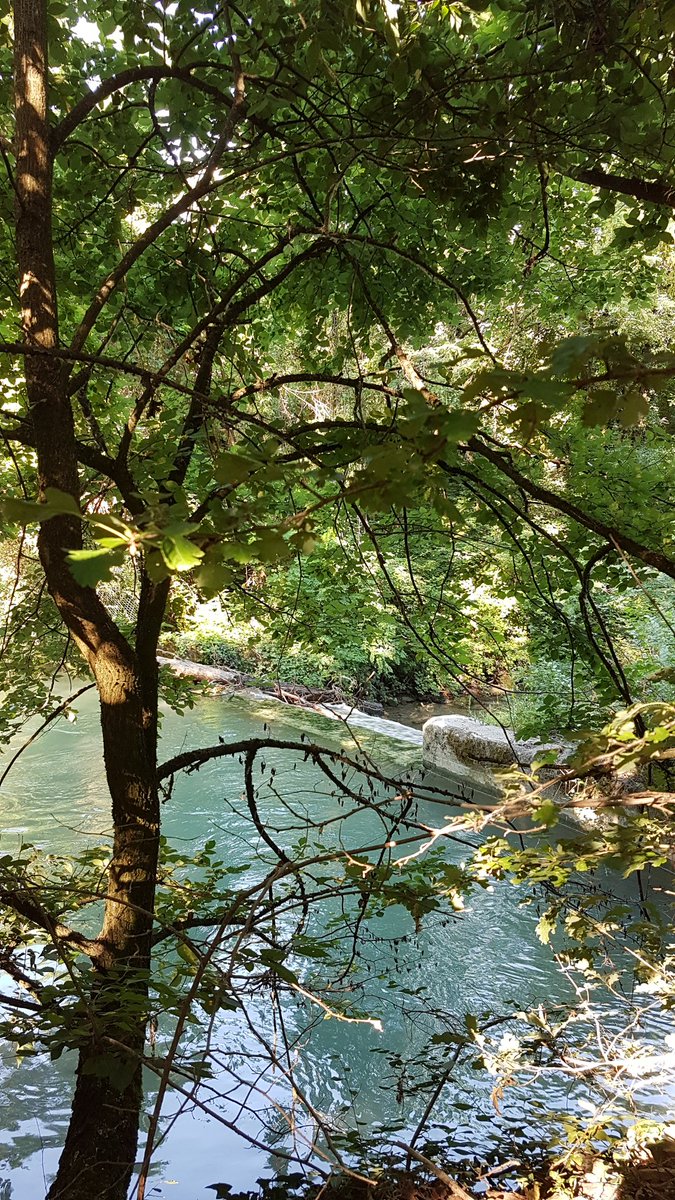 GiuliaTourGuide's tweet image. Parco del Taro, un'oasi di quiete a due passi da #Parma