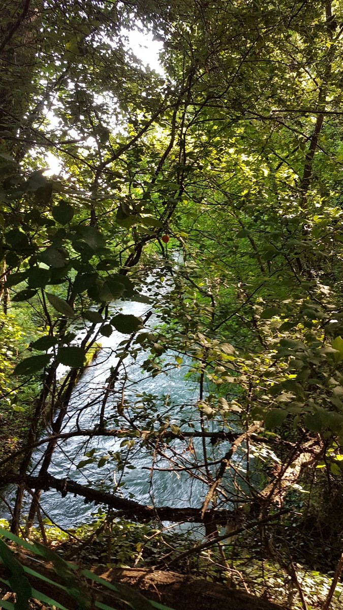 GiuliaTourGuide's tweet image. Parco del Taro, un'oasi di quiete a due passi da #Parma