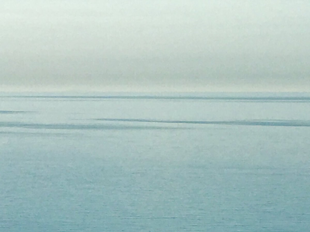 greigburgoyne's tweet photo. La mer scintillante #jour54 https://t.co/MlFO47bKtc