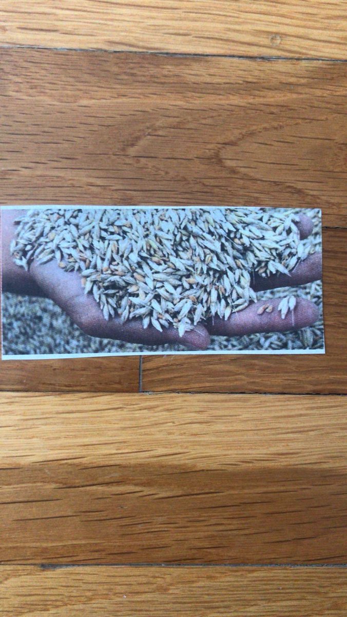 10 bin yıllık Anadolu buğdayı GDO su ile oynanmamış Siyez buğdayı Kastamonu Ziraat odasının üç yıllık zorlu gayret ve emeği sonucunda coğrafi işaret olarak tescilendi ve milli bir marka oldu.Kastamonu Z.O.Başkanı sayın Mehmet Butur’u kutlarım.