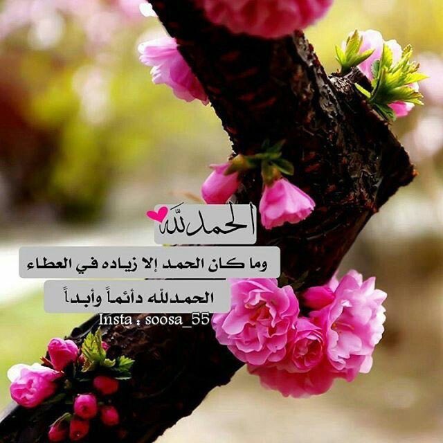 Hamed1767's tweet photo. "الحمدُلله"
وماكان الحمدُ إلا زيادةً في العطاء
الحمدُ لله على كُلّ حال دائماً وأبداً 💕

. https://t.co/dYDfkJSvcG