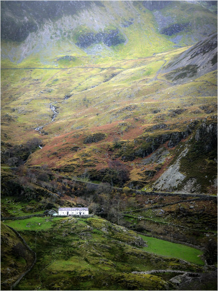 Llun i godi calon heddiw - Cysgodi 😀