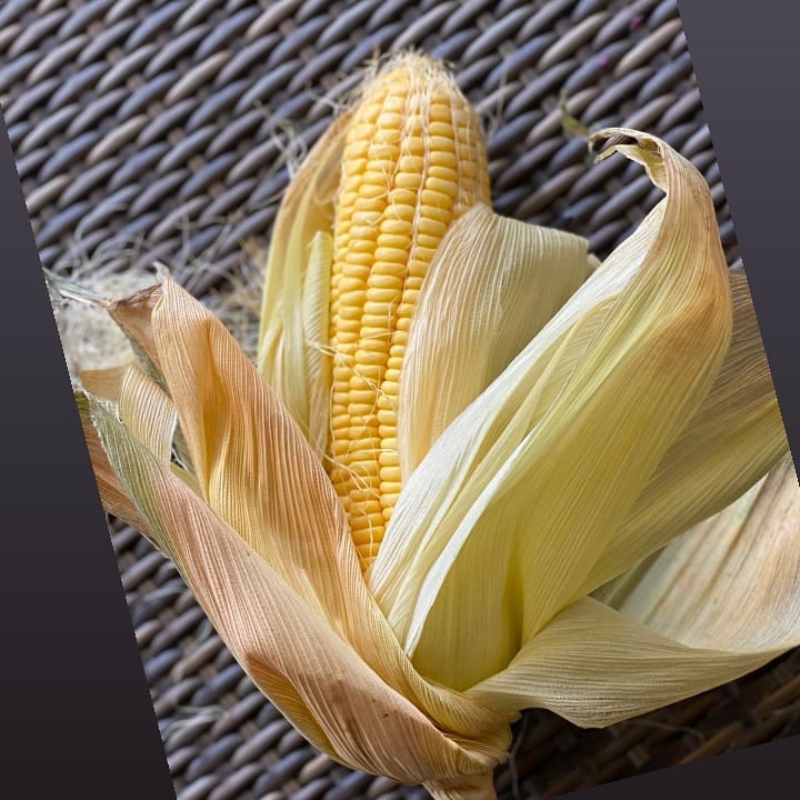 OlixirOils's tweet photo. Corn lovers - something exciting coming up!!
Show your love for corn!!
Corn tuje yun pyar karega
Corn was spotted with someone...
Kaun tha woh?
#CornKeSaathKaun
Sorry to be this *Corny*
#BeCorny
#ColdPressedAurCorn
#HapinessAroundThe*Corn*er https://t.co/8ghmlDUruL