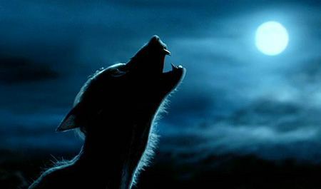Um lobisomem é um ser humano que, após a completa ascensão da lua cheia, se torna um temível e mortal lobo próximo. Esta condição é causada por infecção por licantropia .Lobisomens aparecem na forma de um lobo , mas existem distinções entre eles e lobos comuns.
++ https://t.co/jLFlzsG9Ay