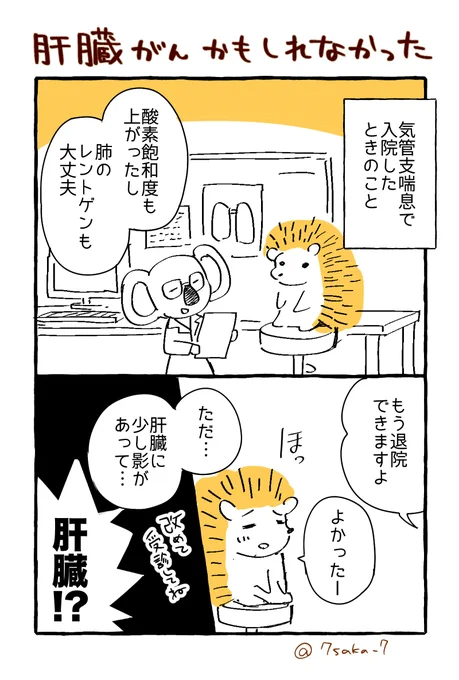 【日記】肝臓がんかもしれなかった 