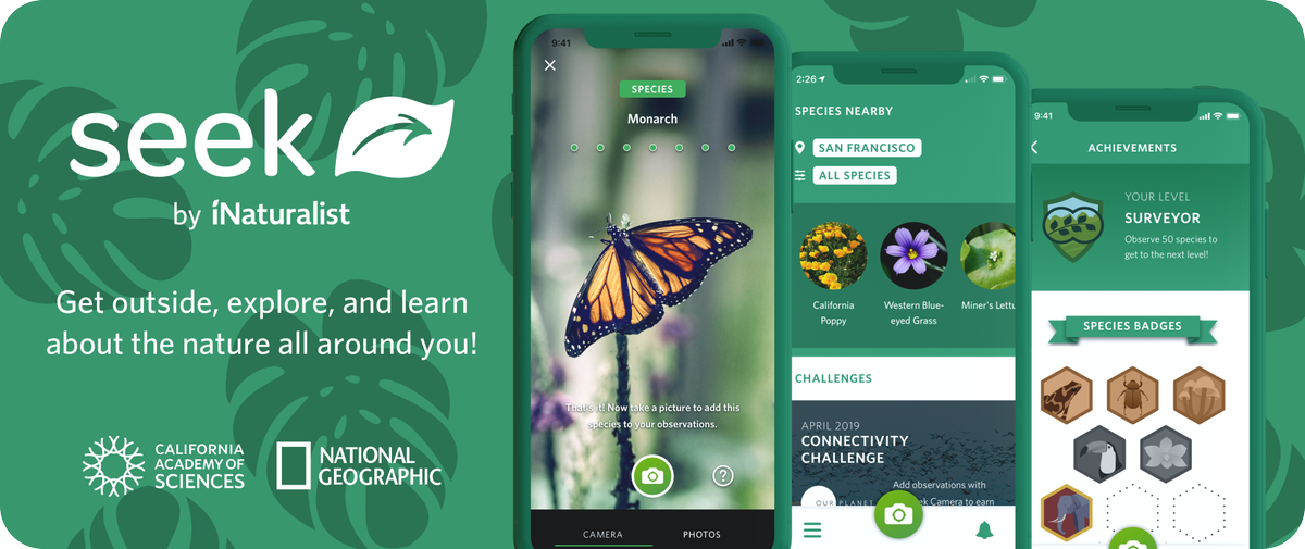 plantoscope's tweet photo. Vous en avez rêvé, ils l'ont fait : la nature en entier a son 
@PokemonGoApp. Ca s'appelle 
#Seek, par la team de @inaturalist et vous pouvez identifier plantes, champignons et animaux en temps réel, sans même prendre de photo. 😍🤯
https://t.co/Wncl51y4qe https://t.co/xIzpeNTYuu