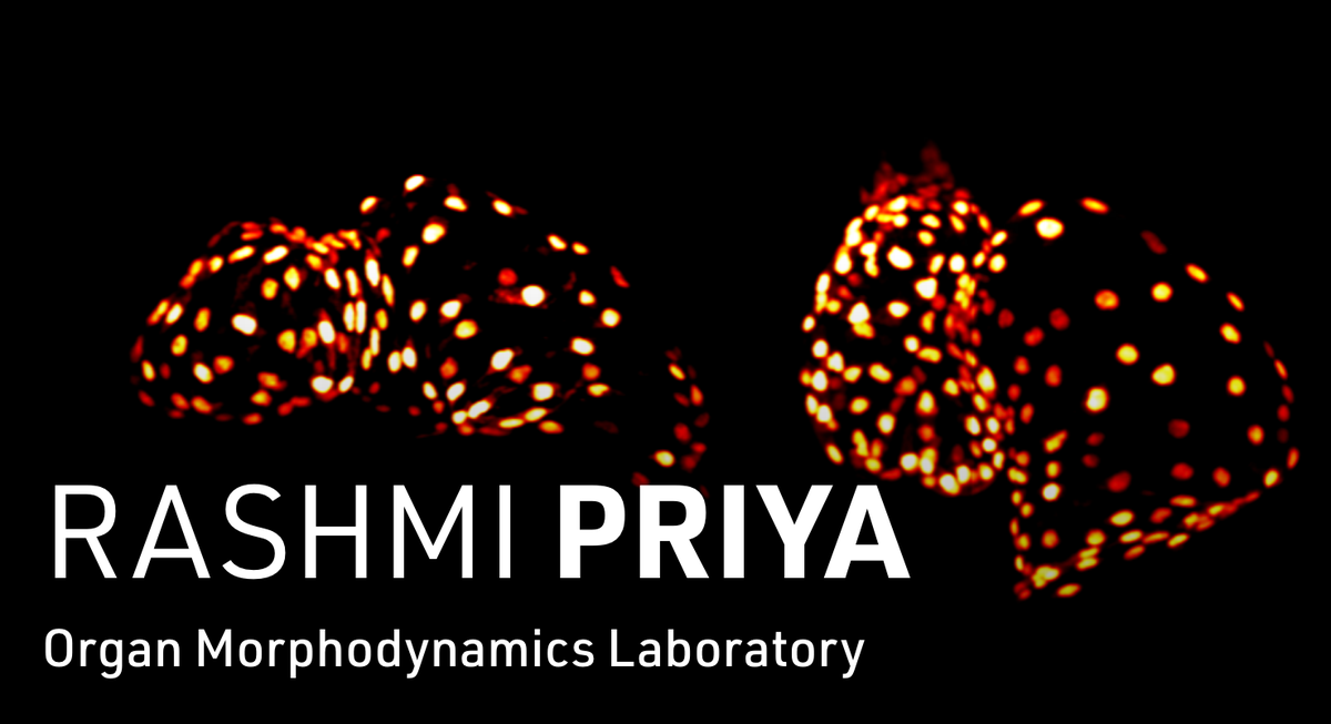 Rashmi Priya @rashmi-priya.bsky.social tweet media