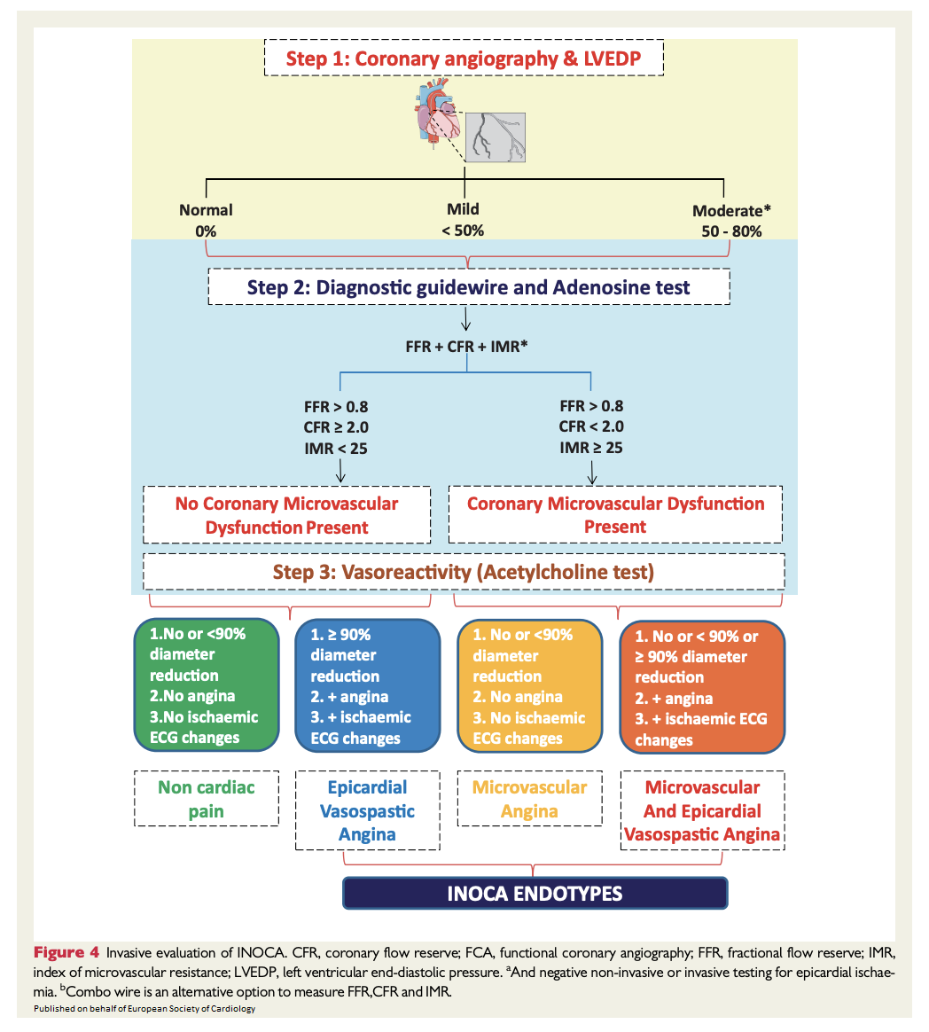 European Society Of Cardiology Journals On Twitter Eapci Expert Consensus Document On Ischaemia With Non Obstructive Coronary Arteries Https T Co Z3anu69hdh Escardio Cardiotwitter Ehj Esc Young Ehj Ed Https T Co 6lrfyn8gfu European Society Of Cardiology Journals On Twitter Eapci Expert Consensus Document On Ischaemia With Non Obstructive Coronary Arteries Https T Co Z3anu69hdh Escardio Cardiotwitter Ehj Esc Young Ehj Ed Https T Co 6lrfyn8gfu