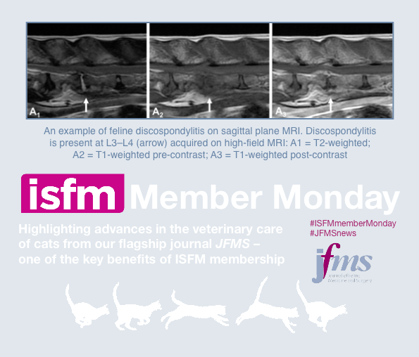 ISFMcats's tweet photo. Imaging features of discospondylitis in cats. https://t.co/qnsYihMm8K #ISFMmemberMonday #JFMSnews #veterinary #feline https://t.co/TxhGc6pwyz