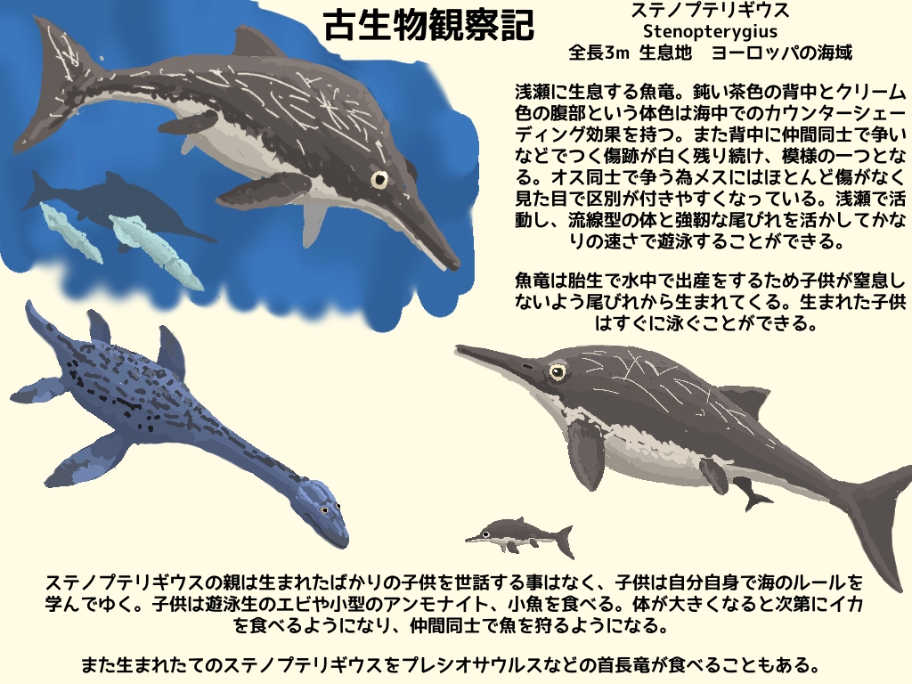 はししも 魚竜 ステノプテリギウスについて観察して分かったことをまとめました イルカと収斂進化したは虫類です イルカの方が後輩だけど 恐竜時代にいた生き物です 古生物 イラスト T Co Kpthk0fxgf Twitter